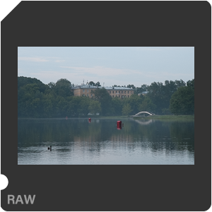 Камера Nikon D500 с объективом AF-S DX Nikkor 16-80mm f/2.8-4E ED VR. Примеры RAW файлов