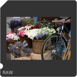 Камера Nikon D500 с объективом AF-S DX Nikkor 16-80mm f/2.8-4E ED VR. Примеры RAW файлов