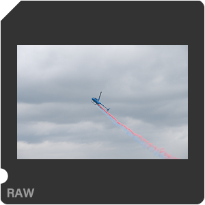 Камера Nikon D500 с объективом AF-S DX Nikkor 16-80mm f/2.8-4E ED VR. Примеры RAW файлов