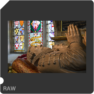 Камера Nikon D500 с объективом AF-S DX Nikkor 16-80mm f/2.8-4E ED VR. Примеры RAW файлов