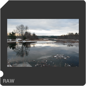 Nikon D3500 + AF-P DX Nikkor 18-55mm F/3.5-5.6G VR page2. Примеры RAW файлов