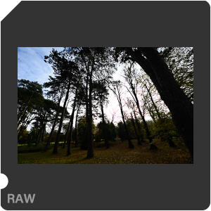 Камера Nikon D с объективом Nikkor Z 14-24mm f/2.8 S. Примеры RAW файлов