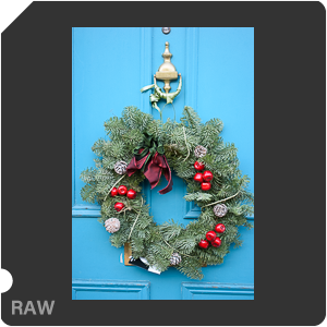 Камера Nikon D5600 с объективом AF-P DX Nikkor 18-55mm f/3.5-5.6G VR. Примеры RAW файлов