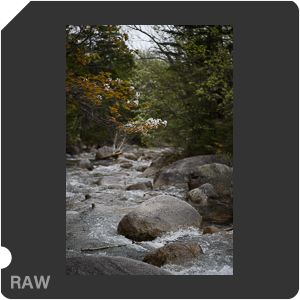 Камера Nikon D5 с объективом AF-S Nikkor 24-70mm f/2.8E ED VR. Примеры RAW файлов