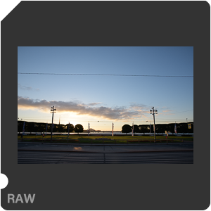 Камера Nikon D7500 с объективом AF-S DX Nikkor 16-80mm f/2.8-4E ED VR. Примеры RAW файлов