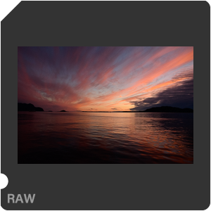 Камера Nikon D7500 с объективом AF-S DX Nikkor 16-80mm f/2.8-4E ED VR. Примеры RAW файлов