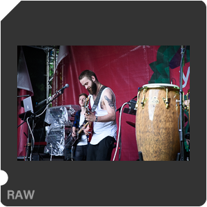 Камера Nikon D500 с объективом AF-S DX Nikkor 16-80mm f/2.8-4E ED VR. Примеры RAW файлов