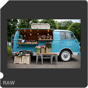 Камера Nikon D500 с объективом AF-S DX Nikkor 16-80mm f/2.8-4E ED VR. Примеры RAW файлов