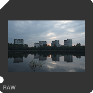 Камера Nikon D500 с объективом AF-S DX Nikkor 16-80mm f/2.8-4E ED VR. Примеры RAW файлов