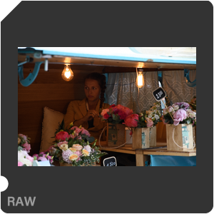 Камера Nikon D500 с объективом AF-S DX Nikkor 16-80mm f/2.8-4E ED VR. Примеры RAW файлов