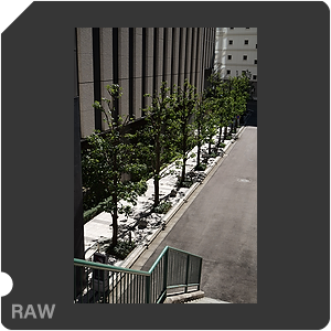 RAW sample