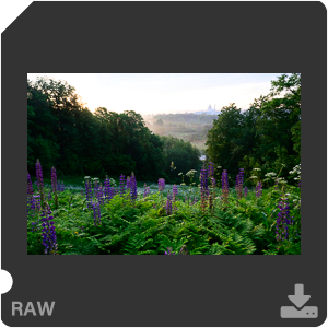 Камера Nikon D с объективом Nikkor Z 14-24mm f/2.8 S. Примеры RAW файлов