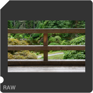 Камера Nikon Z fc с объективом Nikkor Z 35 mm f/1.8 S. Примеры RAW файлов