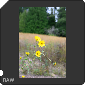 Камера Nikon Z fc с объективом Nikkor Z 35 mm f/1.8 S. Примеры RAW файлов