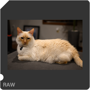 Камера Nikon Z fc с объективом Nikkor Z 35 mm f/1.8 S. Примеры RAW файлов