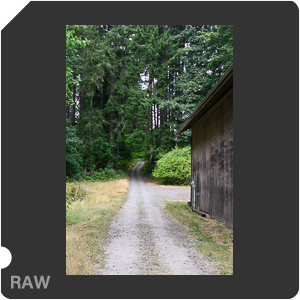 Камера Nikon Z fc с объективом Nikkor Z 35 mm f/1.8 S. Примеры RAW файлов