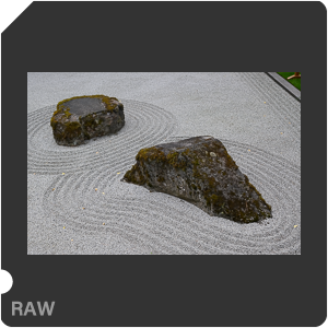 Камера Nikon Z fc с объективом Nikkor Z 35 mm f/1.8 S. Примеры RAW файлов