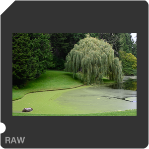 Камера Nikon Z fc с объективом Nikkor Z 35 mm f/1.8 S. Примеры RAW файлов