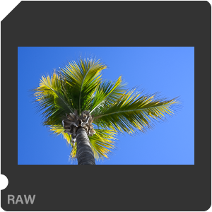 RAW sample
