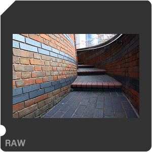 Камера Nikon Z 6 с объективом Nikkor Z 24-70mm f/4 S. Примеры RAW файлов