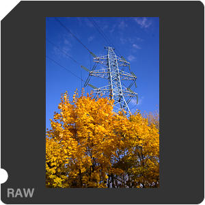 Камера Nikon Z 6 с объективом Nikkor Z 28 mm f/2.8 SE. Примеры RAW файлов