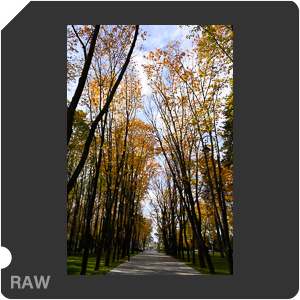 Камера Nikon Z 6 с объективом Nikkor Z 28 mm f/2.8 SE. Примеры RAW файлов