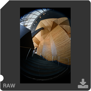 Nikon D810 с объективом AF-S Fisheye Nikkor 8-15mm f/3.5-4.5E ED. Примеры RAW файлов