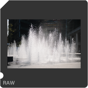 Nikon D3X Camera with AF-S Nikkor 24-70mm f/2.8G ED. Examples of RAW files