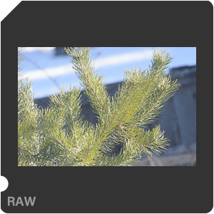 RAW sample