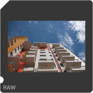 RAW sample