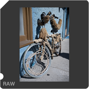 Nikon Z 8 + Nikkor Z 24-70mm f/2.8 S II. Examples of RAW files