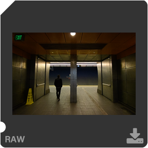 Камера Nikon D с объективом AF-P DX Nikkor 10-20mm f/4.5-5.6G VR. Примеры RAW файлов