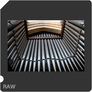 Камера Nikon D500 с объективом AF-S DX Nikkor 16-80mm f/2.8-4E ED VR. Примеры RAW файлов