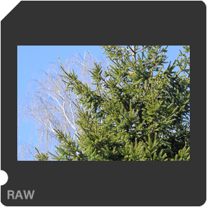 RAW sample