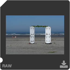 Камера Nikon Z 7II с объективом Nikkor Z MC 105 mm f/2.8 VR S. Примеры RAW файлов