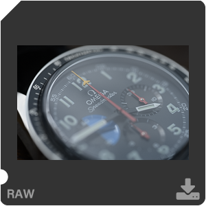 Камера Nikon Z 7II с объективом Nikkor Z MC 105 mm f/2.8 VR S. Примеры RAW файлов