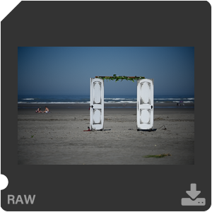 Камера Nikon Z 7II с объективом Nikkor Z MC 105 mm f/2.8 VR S. Примеры RAW файлов