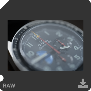 Камера Nikon Z 7II с объективом Nikkor Z MC 105 mm f/2.8 VR S. Примеры RAW файлов