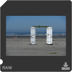 Камера Nikon Z 7II с объективом Nikkor Z MC 105 mm f/2.8 VR S. Примеры RAW файлов