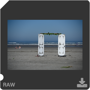 Камера Nikon Z 7II с объективом Nikkor Z MC 105 mm f/2.8 VR S. Примеры RAW файлов