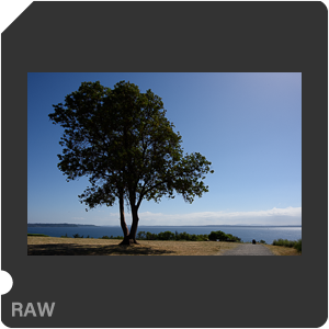 Камера Nikon D810 с объективом AF-S Nikkor 28 mm f/1.4E ED. Примеры RAW файлов