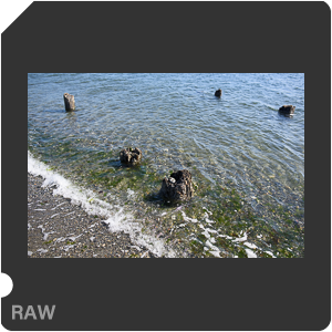 Камера Nikon D810 с объективом AF-S Nikkor 28 mm f/1.4E ED. Примеры RAW файлов