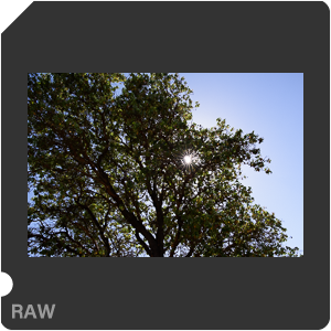 Камера Nikon D810 с объективом AF-S Nikkor 28 mm f/1.4E ED. Примеры RAW файлов