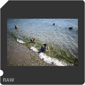 Камера Nikon D810 с объективом AF-S Nikkor 28 mm f/1.4E ED. Примеры RAW файлов