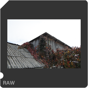 RAW sample