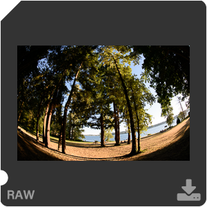 Nikon D810 с объективом AF-S Fisheye Nikkor 8-15mm f/3.5-4.5E ED. Примеры RAW файлов