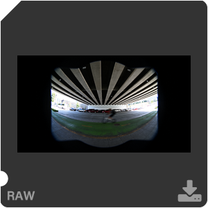 Nikon D810 с объективом AF-S Fisheye Nikkor 8-15mm f/3.5-4.5E ED. Примеры RAW файлов