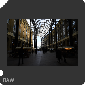 Камера Nikon Z 6 с объективом Nikkor Z 24-70mm f/4 S. Примеры RAW файлов