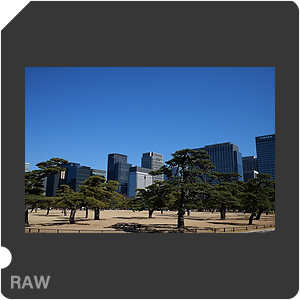 RAW sample