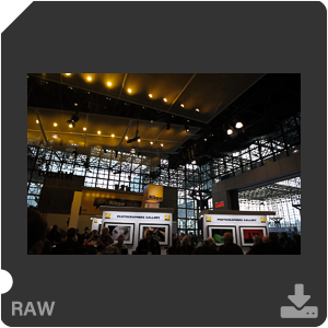 Nikon D700 Camera with AF-S Nikkor 24-70mm f/2.8G ED. Examples of RAW files